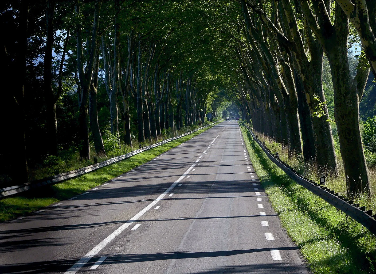 A departmental road lined with plane trees in Savoie