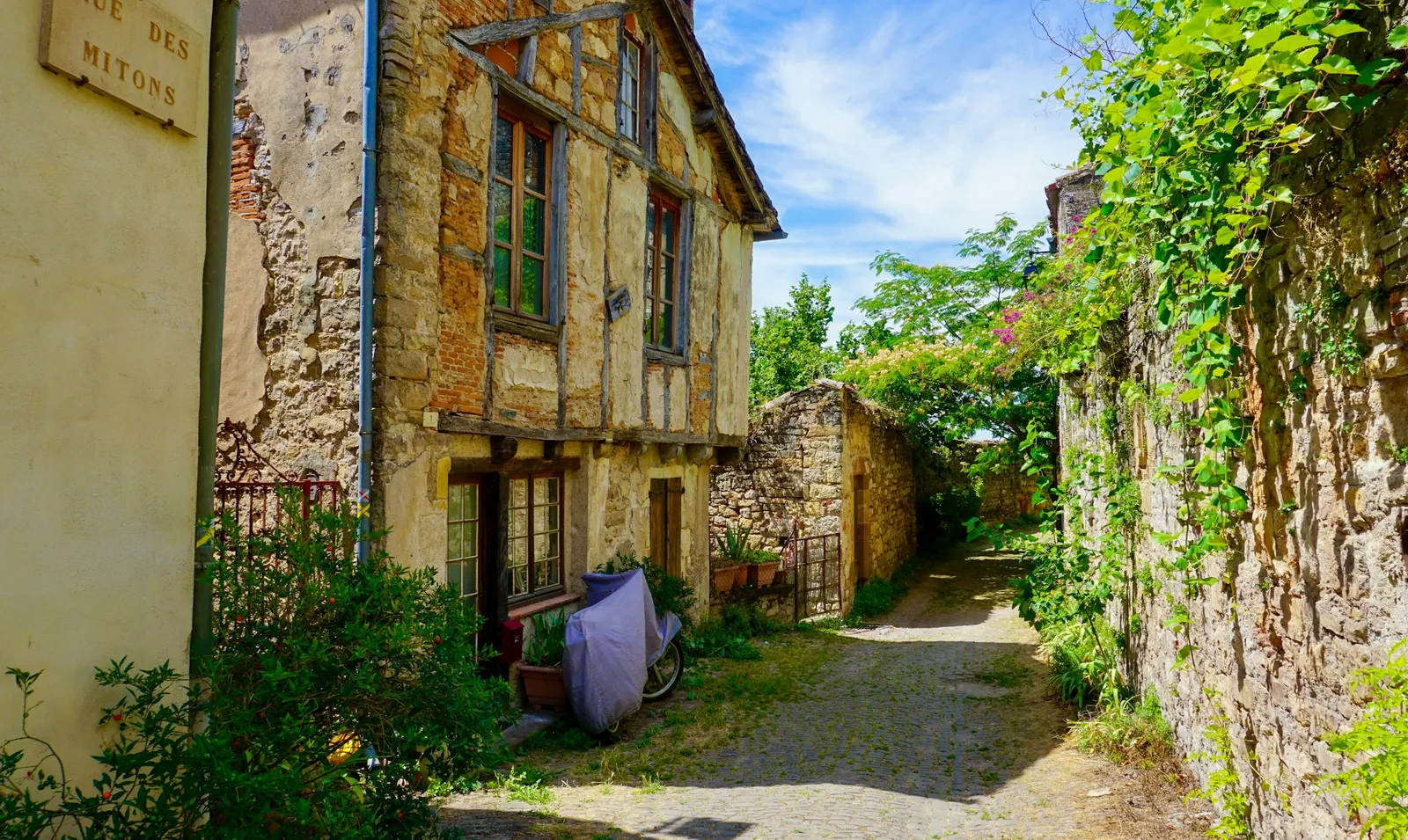 A gravel lane between old stone and half-timbered village houses with green climbing plants